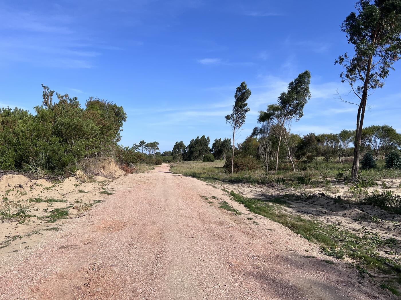 Esquina de manzana con forestación